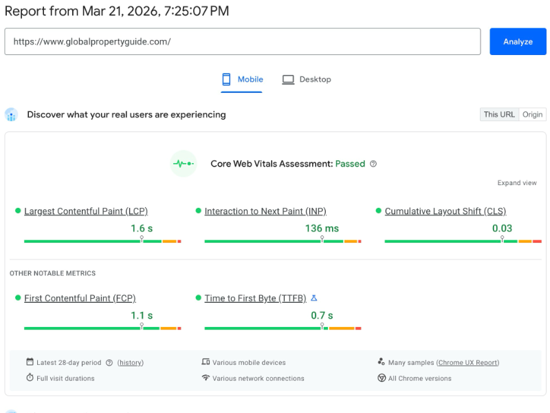 Pagespeed score screenshot